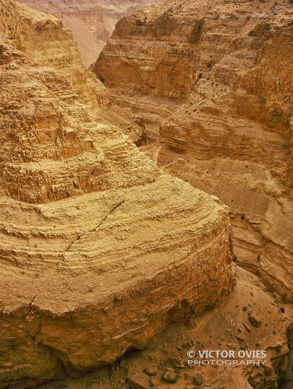 Negev Desert